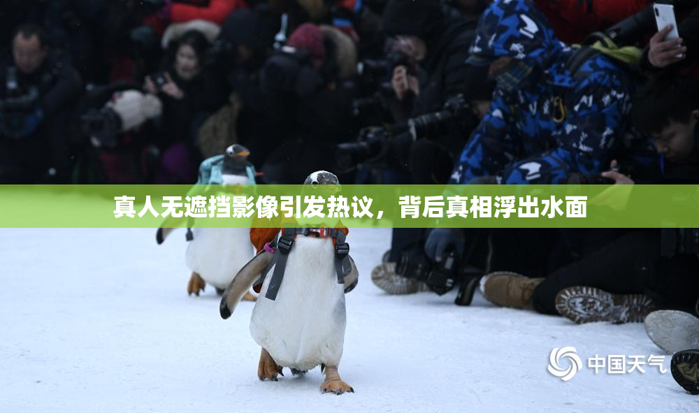 真人无遮挡影像引发热议，背后真相浮出水面