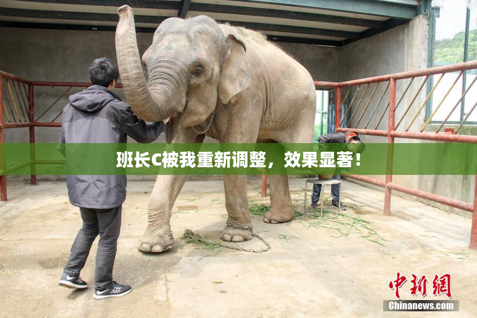 班长C被我重新调整，效果显著！