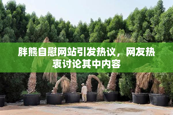 胖熊自慰网站引发热议，网友热衷讨论其中内容