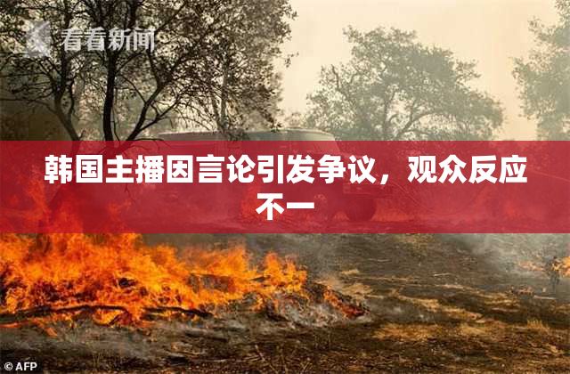 韩国主播因言论引发争议，观众反应不一