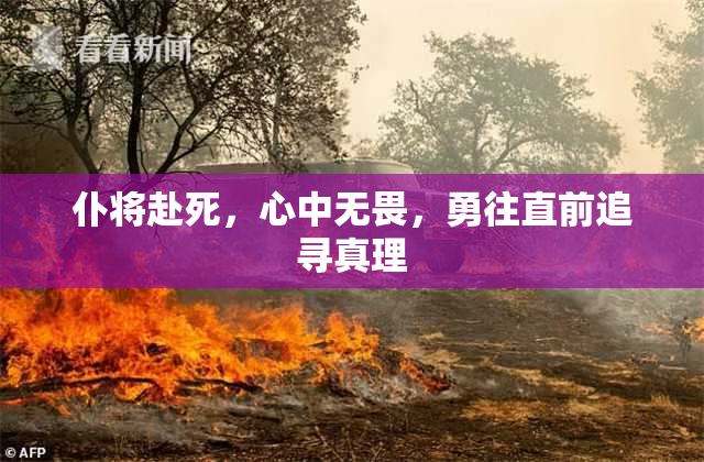 仆将赴死，心中无畏，勇往直前追寻真理