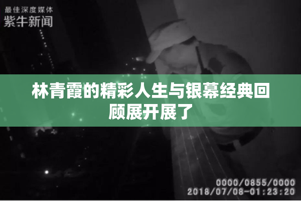 林青霞的精彩人生与银幕经典回顾展开展了