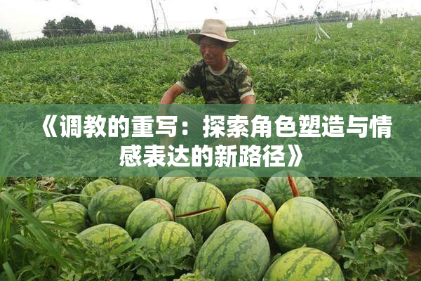 《调教的重写：探索角色塑造与情感表达的新路径》