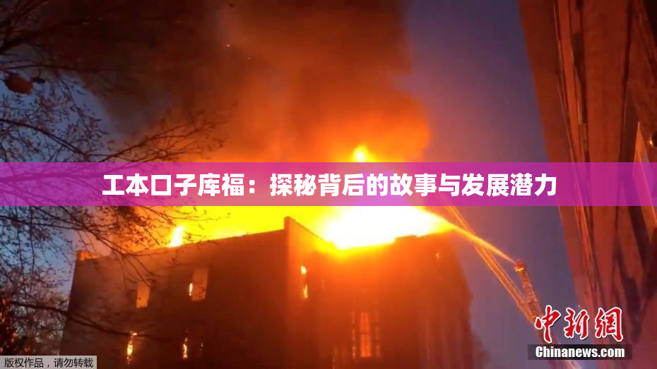 工本口子库福：探秘背后的故事与发展潜力