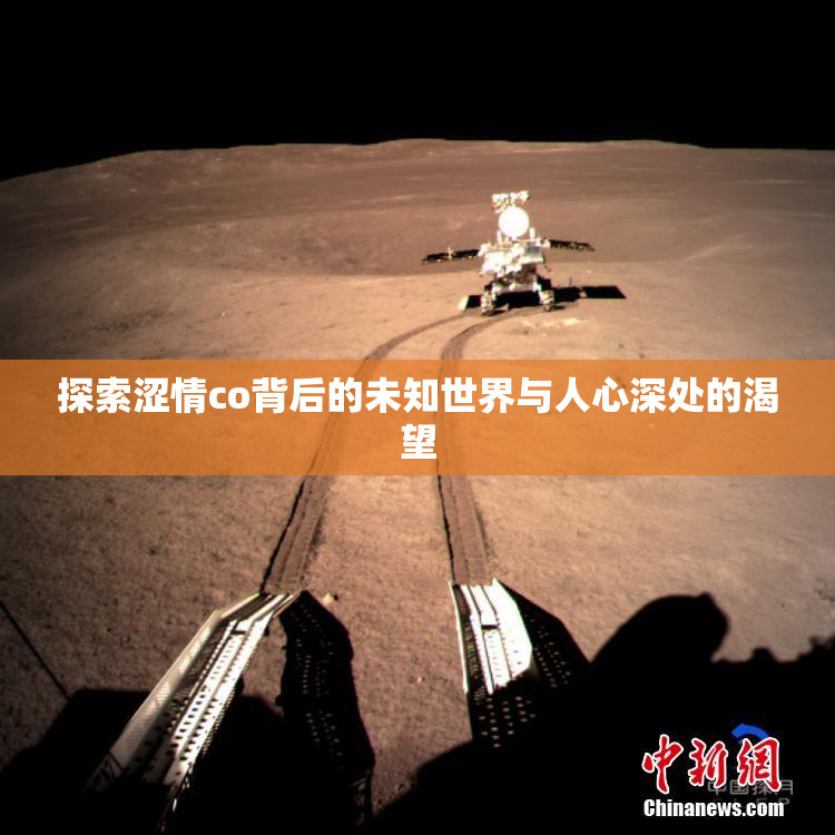 探索涩情co背后的未知世界与人心深处的渴望