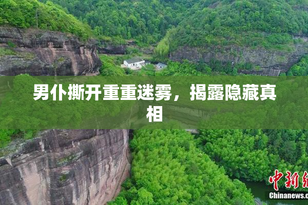 男仆撕开重重迷雾，揭露隐藏真相