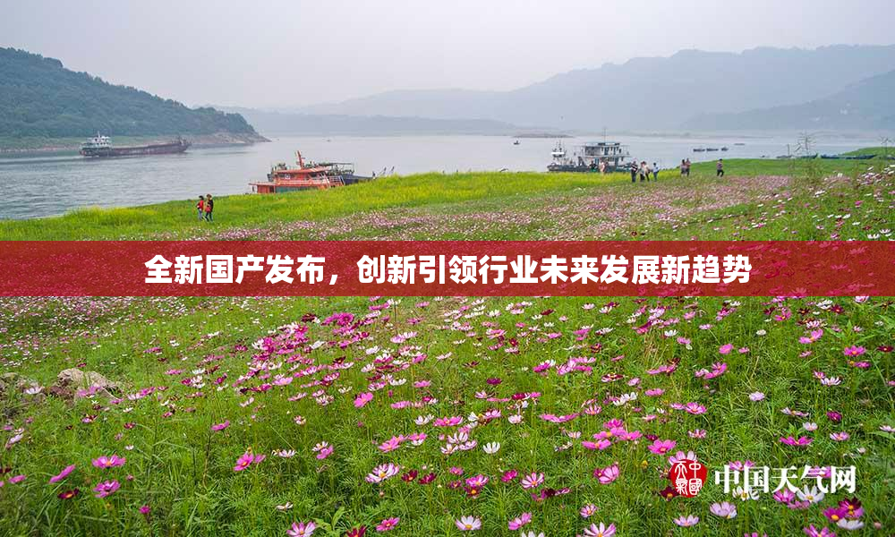 全新国产发布，创新引领行业未来发展新趋势