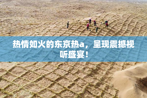 热情如火的东京热a，呈现震撼视听盛宴！