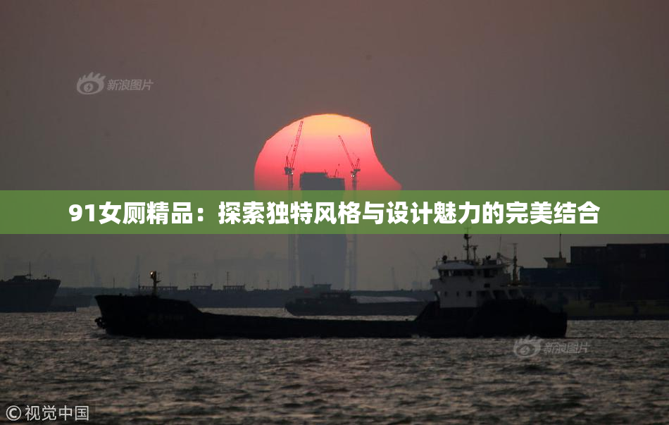 91女厕精品：探索独特风格与设计魅力的完美结合