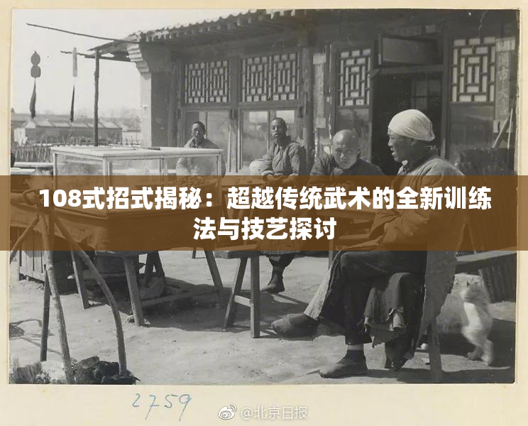 108式招式揭秘：超越传统武术的全新训练法与技艺探讨