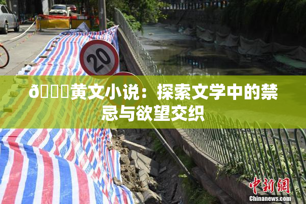 🔞黄文小说：探索文学中的禁忌与欲望交织