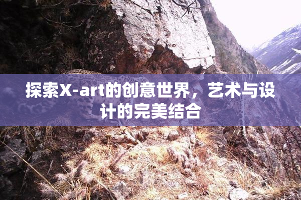 探索X-art的创意世界，艺术与设计的完美结合
