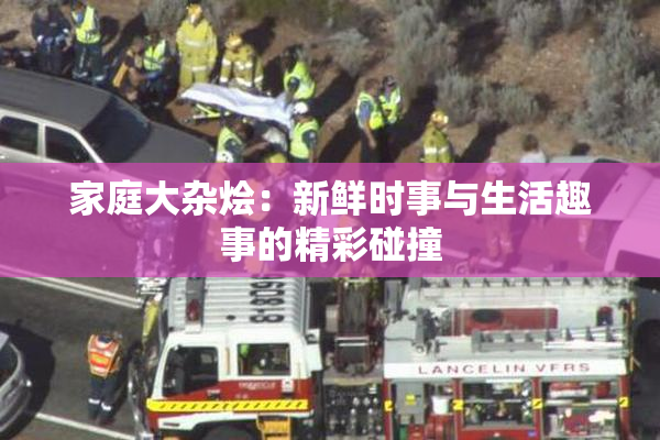 家庭大杂烩：新鲜时事与生活趣事的精彩碰撞