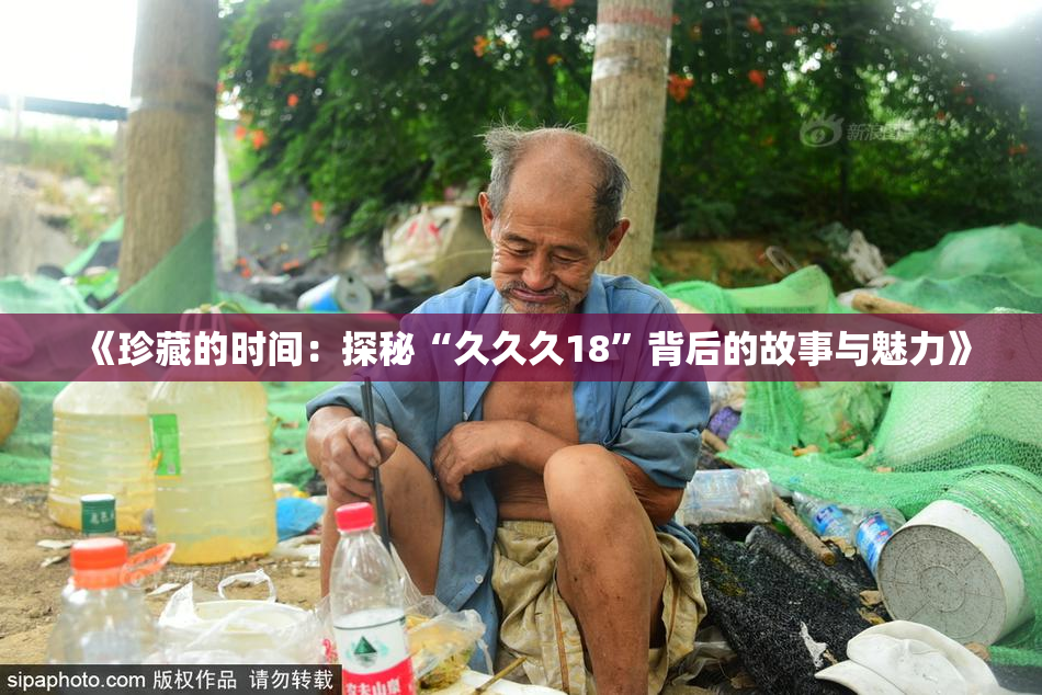 《珍藏的时间：探秘“久久久18”背后的故事与魅力》