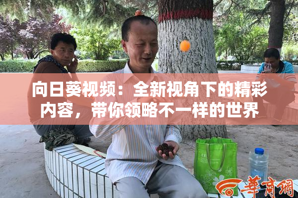 向日葵视频：全新视角下的精彩内容，带你领略不一样的世界