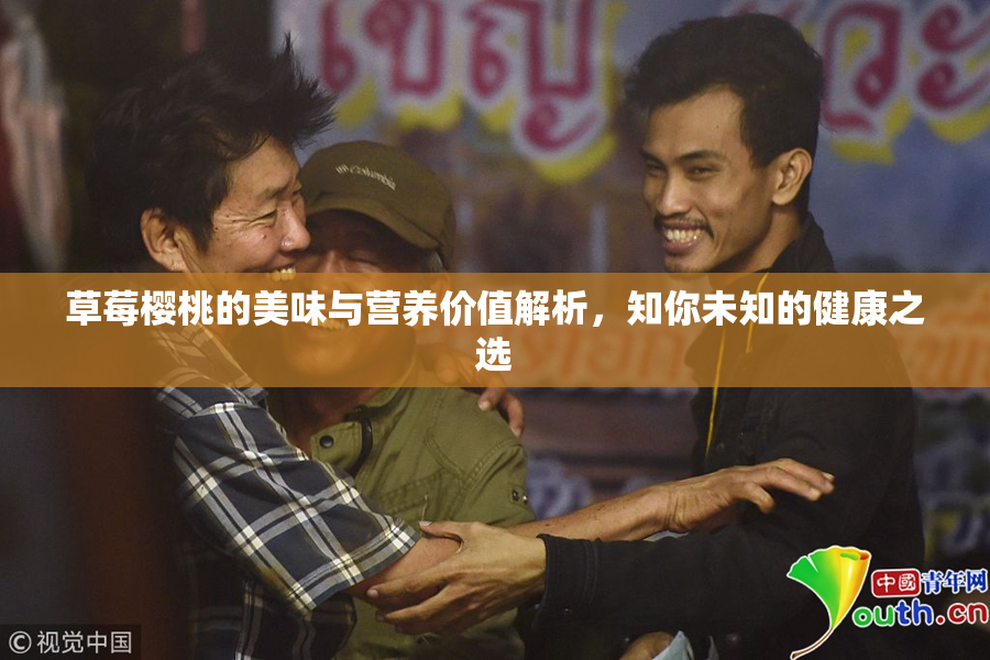 草莓樱桃的美味与营养价值解析，知你未知的健康之选