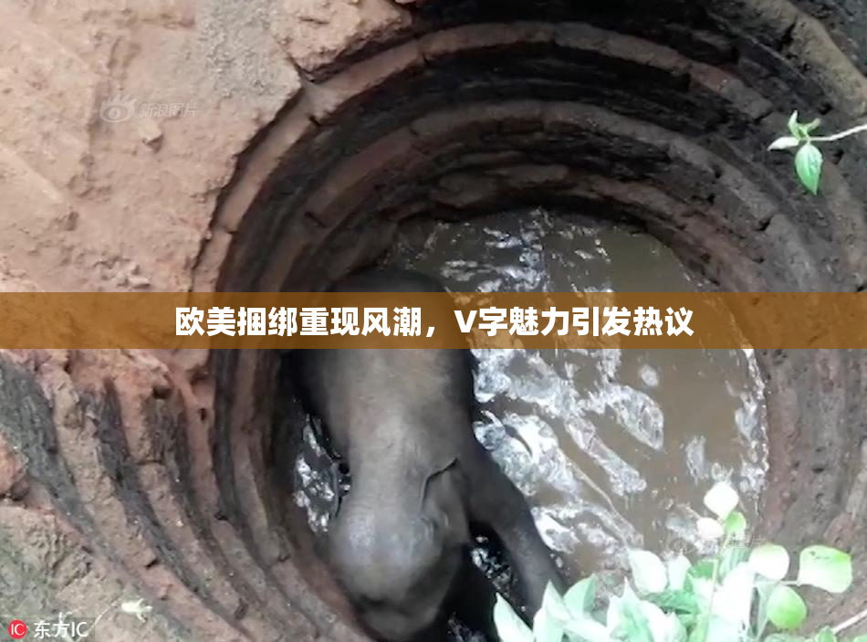 欧美捆绑重现风潮，V字魅力引发热议