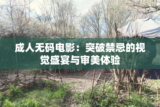 成人无码电影：突破禁忌的视觉盛宴与审美体验
