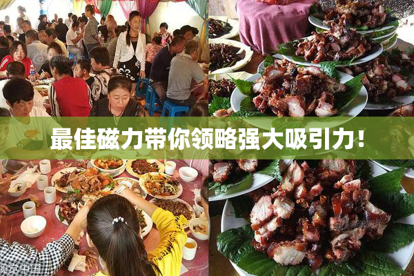 最佳磁力带你领略强大吸引力！