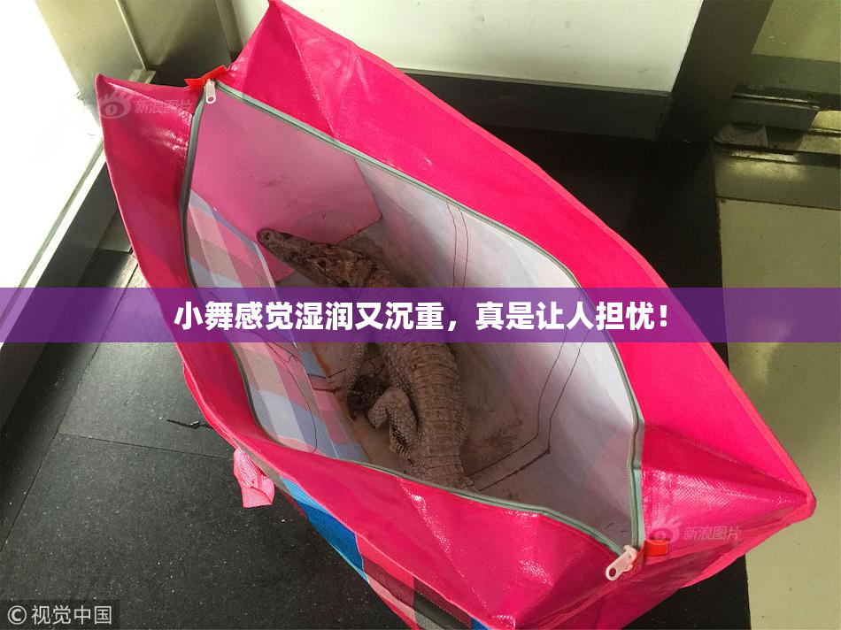 小舞感觉湿润又沉重，真是让人担忧！