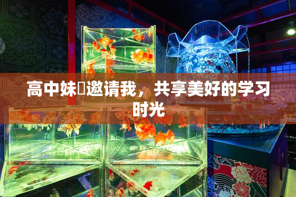 高中妹妺邀请我，共享美好的学习时光