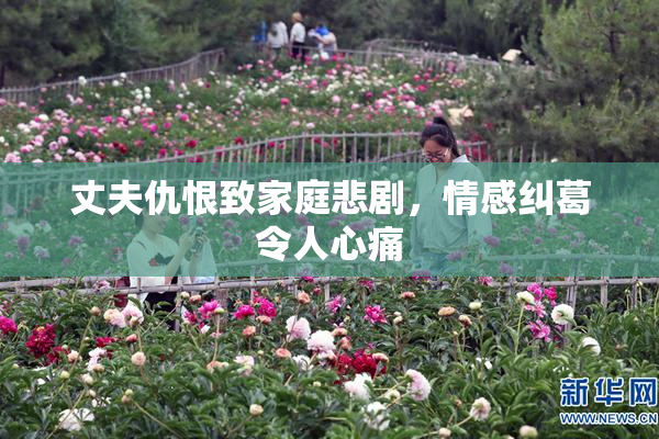 丈夫仇恨致家庭悲剧，情感纠葛令人心痛