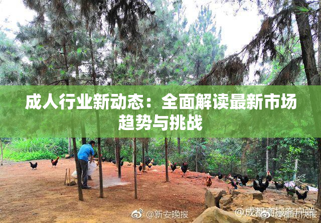 成人行业新动态：全面解读最新市场趋势与挑战