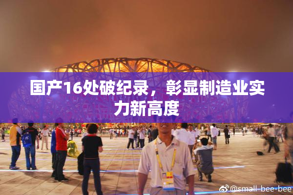 国产16处破纪录，彰显制造业实力新高度