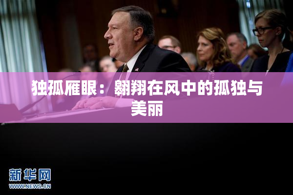 独孤雁眼：翱翔在风中的孤独与美丽