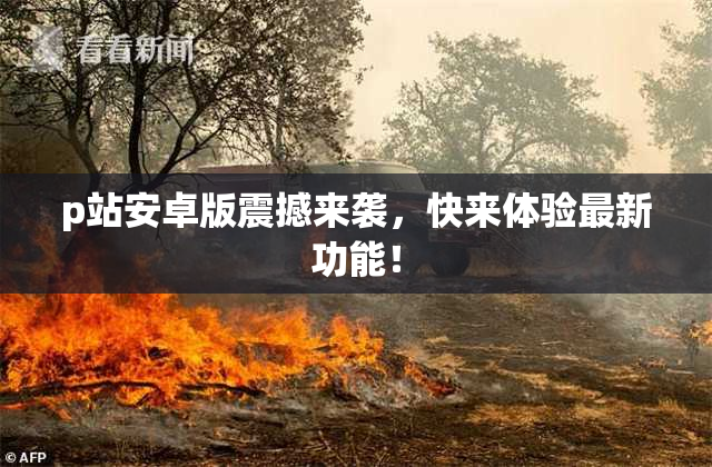 p站安卓版震撼来袭，快来体验最新功能！