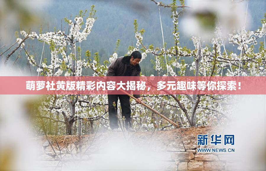 萌萝社黄版精彩内容大揭秘，多元趣味等你探索！
