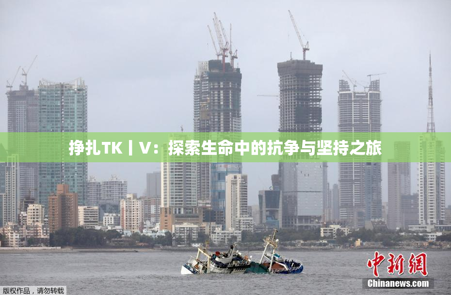 挣扎TK丨V：探索生命中的抗争与坚持之旅