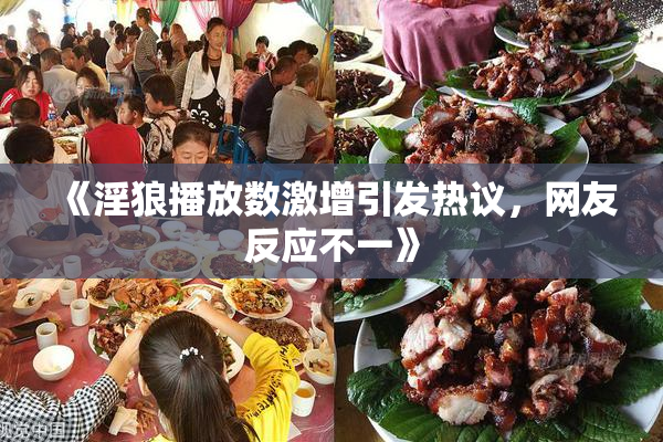 《淫狼播放数激增引发热议，网友反应不一》