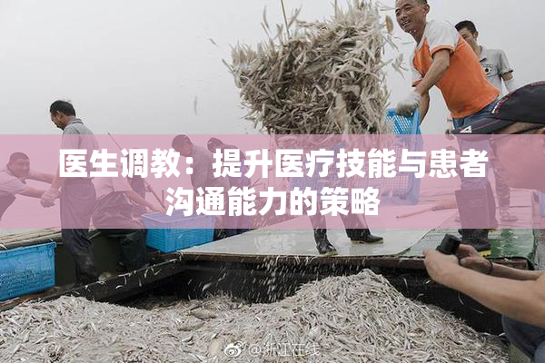 医生调教：提升医疗技能与患者沟通能力的策略