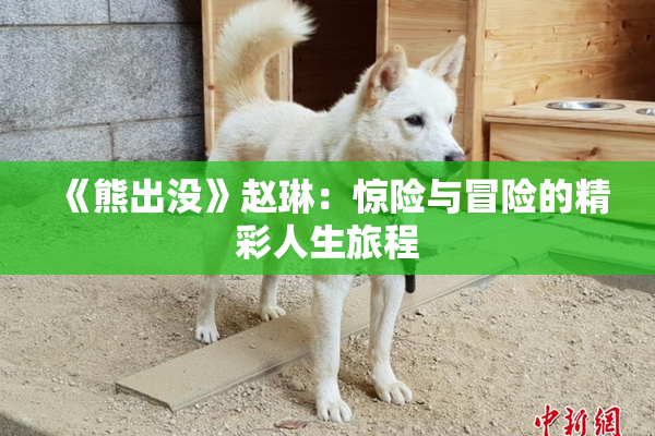 《熊出没》赵琳：惊险与冒险的精彩人生旅程