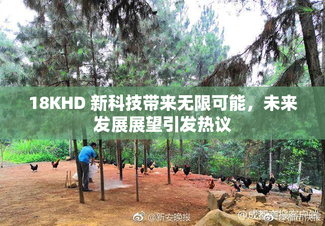 18KHD 新科技带来无限可能，未来发展展望引发热议