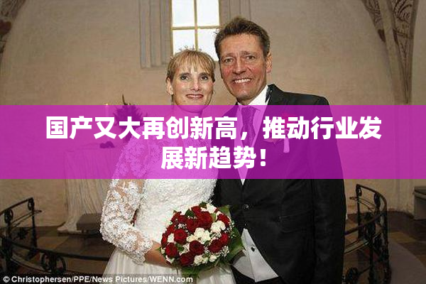 国产又大再创新高，推动行业发展新趋势！