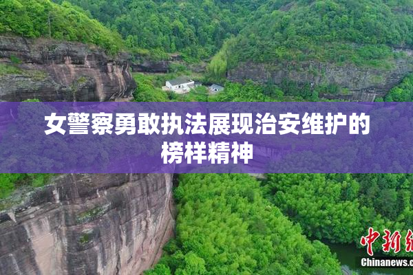 女警察勇敢执法展现治安维护的榜样精神