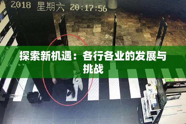 探索新机遇：各行各业的发展与挑战