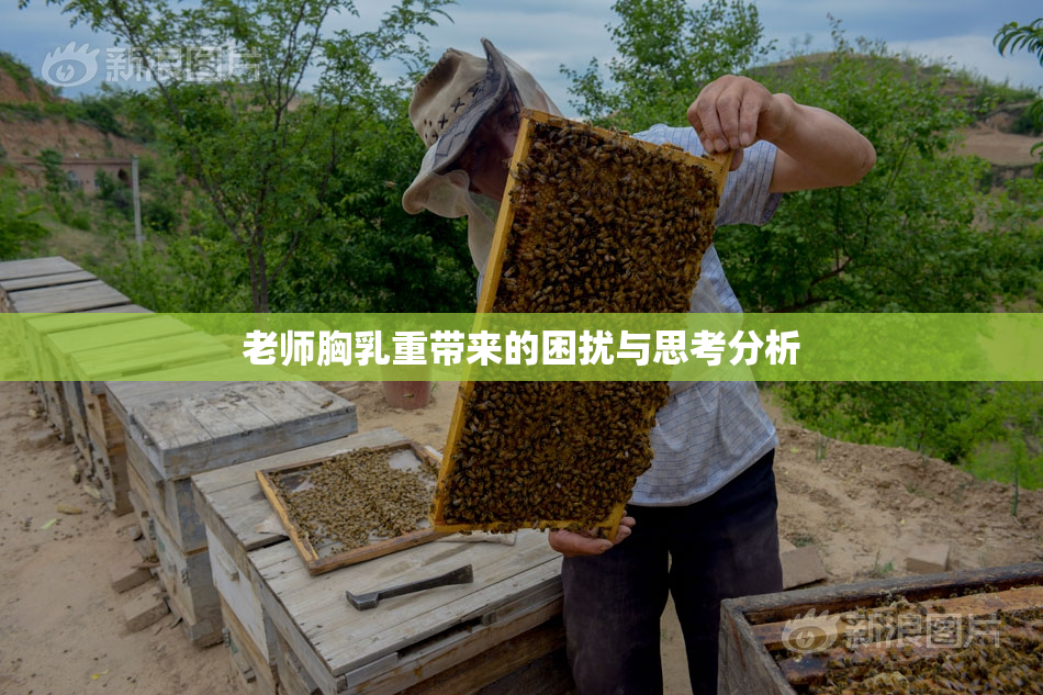 老师胸乳重带来的困扰与思考分析