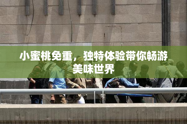 小蜜桃免重，独特体验带你畅游美味世界