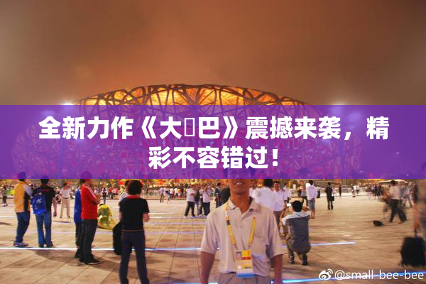 全新力作《大鳮巴》震撼来袭，精彩不容错过！