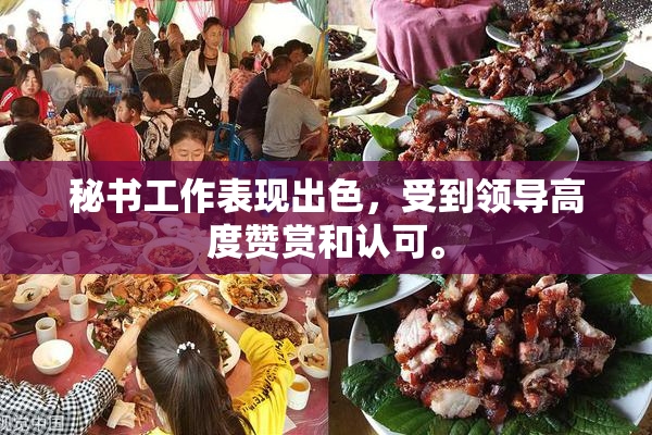 秘书工作表现出色，受到领导高度赞赏和认可。