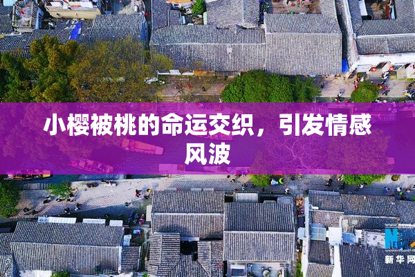小樱被桃的命运交织，引发情感风波