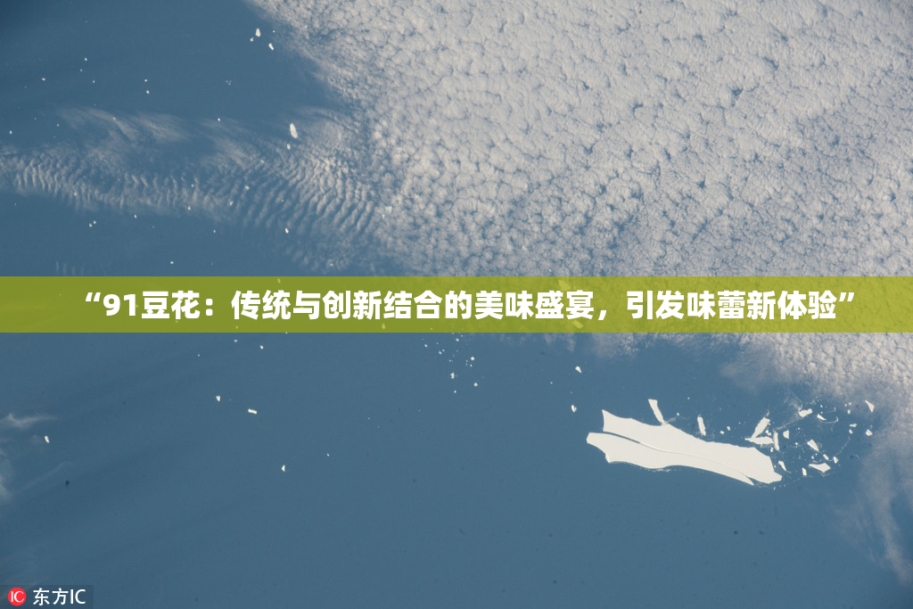 “91豆花：传统与创新结合的美味盛宴，引发味蕾新体验”