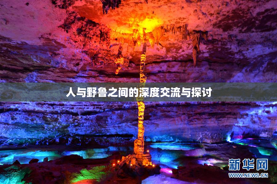 人与野鲁之间的深度交流与探讨