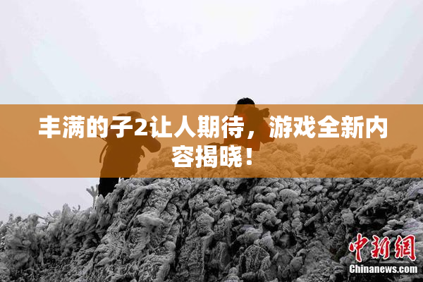丰满的子2让人期待，游戏全新内容揭晓！