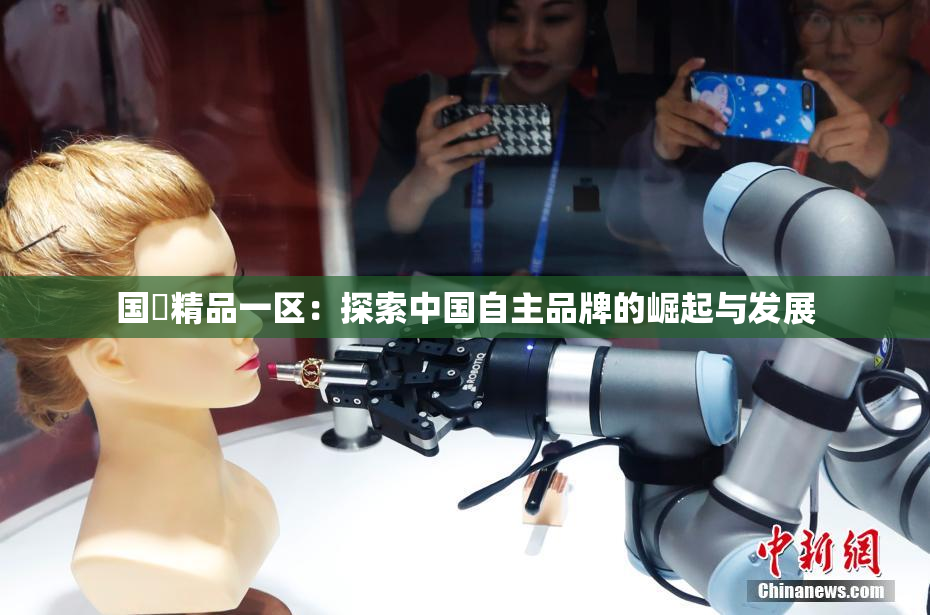 国產精品一区：探索中国自主品牌的崛起与发展