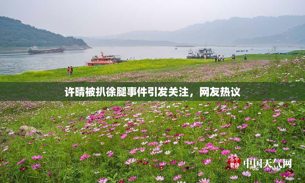 许晴被扒徐腿事件引发关注，网友热议
