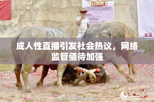 成人性直播引发社会热议，网络监管亟待加强
